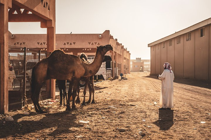 Al Ain: A Romantic Journey Through Iconic Landscapes - Photo 1 of 6